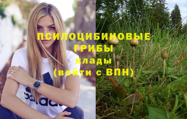 PSILOCYBIN Алзамай